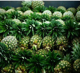 Pineapple