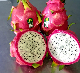 White Flesh Dragon Fruit