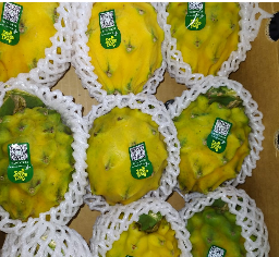 Yellow Dragon Fruit